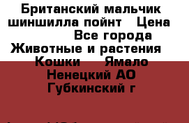 Британский мальчик шиншилла-пойнт › Цена ­ 5 000 - Все города Животные и растения » Кошки   . Ямало-Ненецкий АО,Губкинский г.